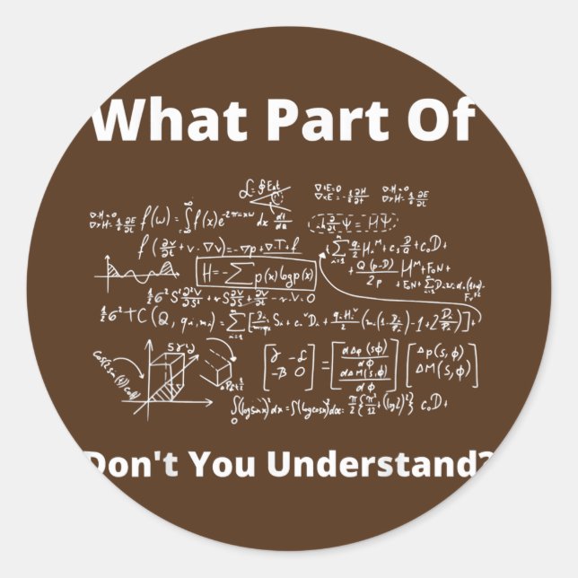 What Part Of Don't You Understand Funny Math Classic Round Sticker (Front)