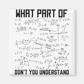 What Part Of Don't You Understand Magnet