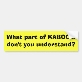 What part of KABOOM don't you understand? Bumper Sticker