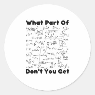 What Part Of Math Dont You Get Classic Round Sticker