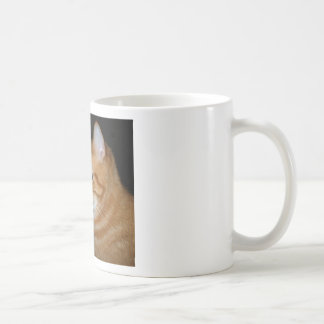 What Part of "Meow" Don't You Understand Coffee Mug