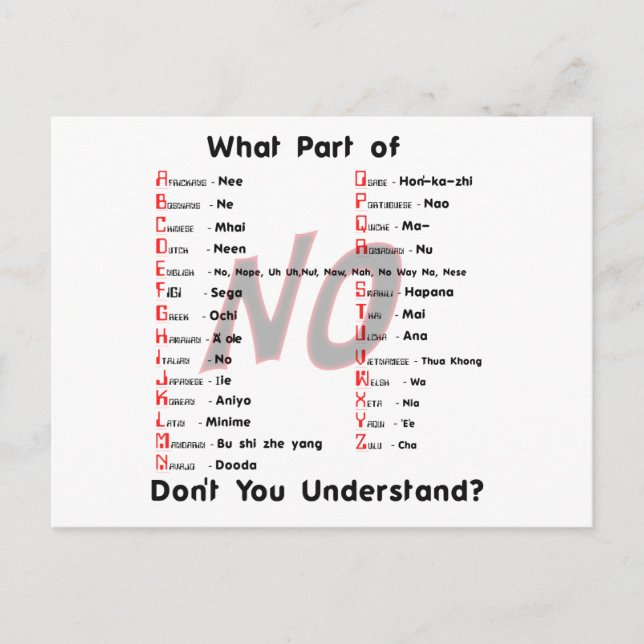 What Part of NO Dont You Understand Postcard (Front)