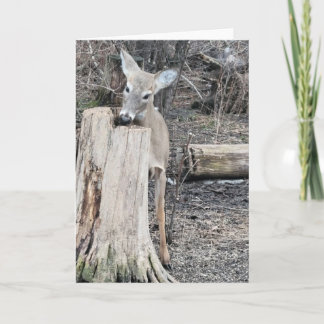 What’s more special than a sweet deer encounter? A Card