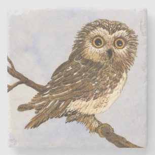 WHAT? Saw-Whet Owl Coaster