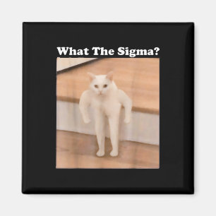 What Sigma Meme Cat Meme Internet Memes Funny Meme Magnet