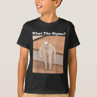 What Sigma Meme Cat Meme Internet Memes Funny Meme