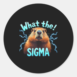 What Sigma Meme Vintage Woodchuck For Ground-hog L Classic Round Sticker