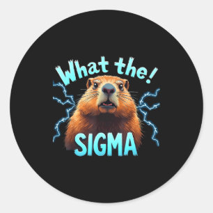 What Sigma Meme Vintage Woodchuck For Ground-hog L Classic Round Sticker