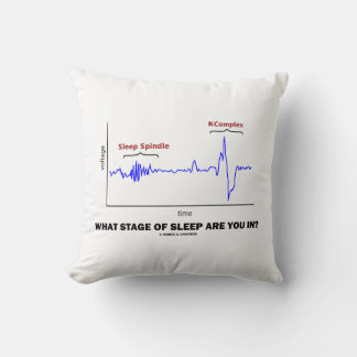 What Stage Of Sleep Are You In? Cushion