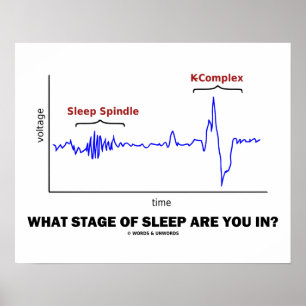 What Stage Of Sleep Are You In? Poster