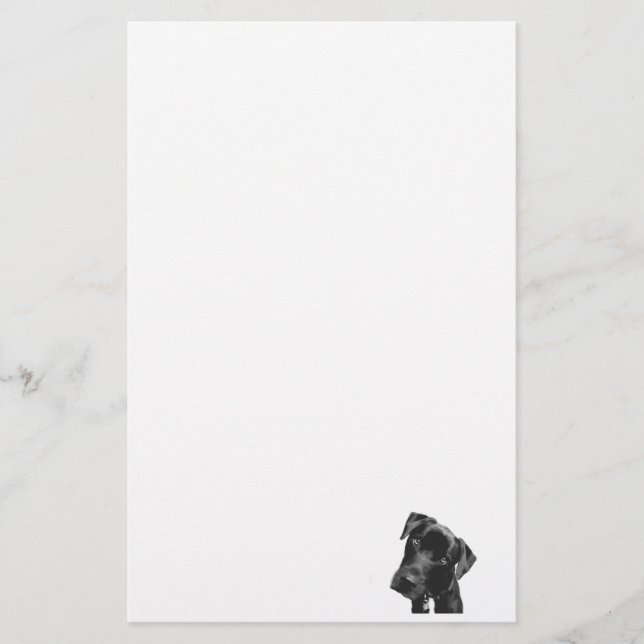 What Stationery (Front)