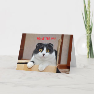 WHAT THE ??? BELATED BIRTHDAY CARD