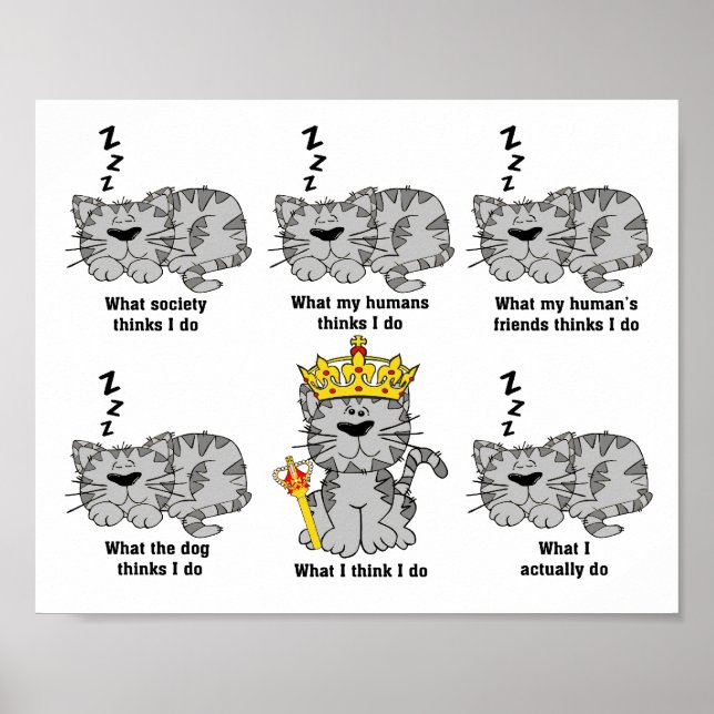 What The Cat Thinks Funny Poster (Front)