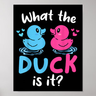 What The Ducks Is It Baby Gender Reveal Party Baby Poster