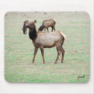 What the elk you lookin at? mouse mat