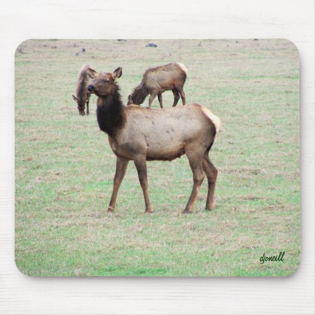 What the elk you lookin at? mouse mat (Front)