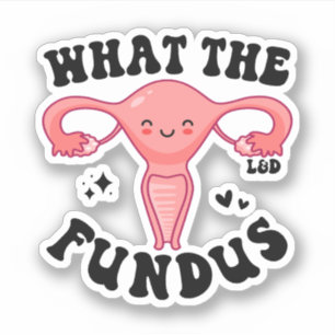 What the Fundus, Funny Labor and Delivery Nurse