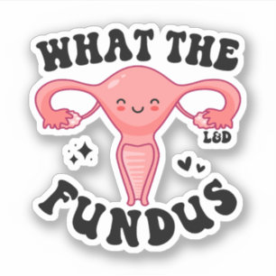 What the Fundus, Funny Labour and Delivery Nurse