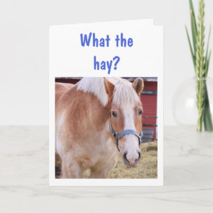 "What the hay?" Horse Birthday Card