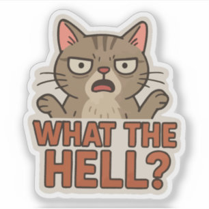What the hell ? funny cat