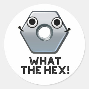 What The Hex Funny Hexagon Shape Pun  Classic Round Sticker