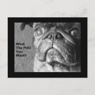 What The Pug Postcard