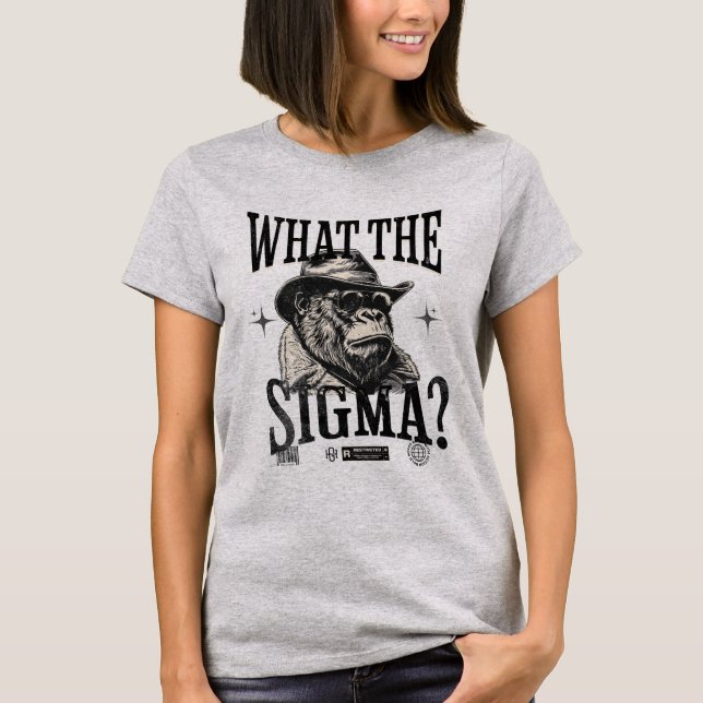 What The Sigma? Ironic Meme Brainrot T-Shirt (Front)