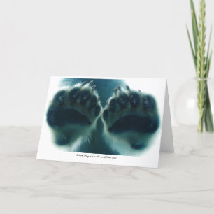 What They Saw Beneath the Ice Card