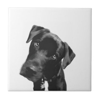 What? Tile