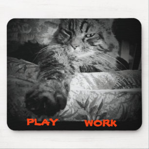 What to do online today. Cat Says Play Mouse Mat