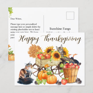 What Turkey? Innocent Cats, Happy Thanksgiving, P Postcard