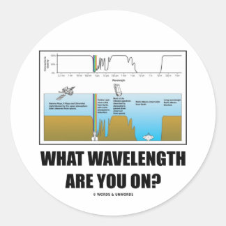What Wavelength Are You On? (Electromagnetism) Classic Round Sticker