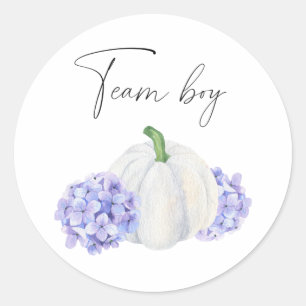 What will baby be team boy pumpkin classic round sticker