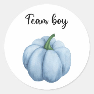 What will baby be team boy pumpkin classic round sticker