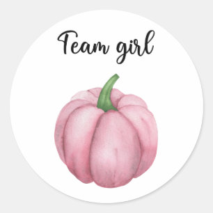 What will baby be team girl pumpkin classic round sticker