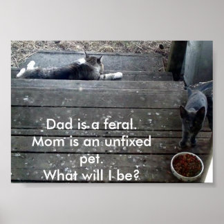 "What will I be?" feral kitten poster