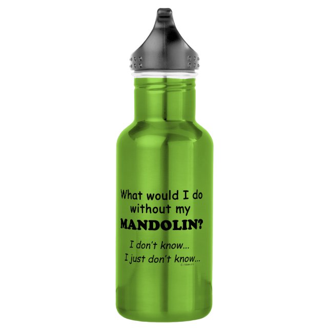 What Would I Do, Mandolin 532 Ml Water Bottle (Right)