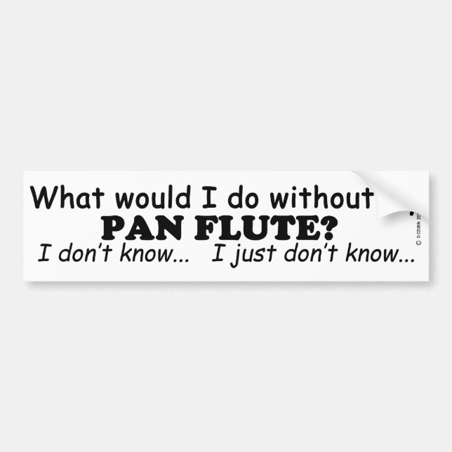 What Would I Do, Pan Flute Bumper Sticker (Front)
