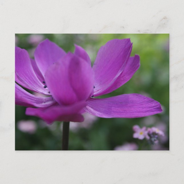 What you hide ? postcard (Front)