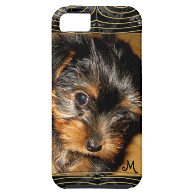 What you hiding Yorkie Case-Mate iPhone Case (Back)