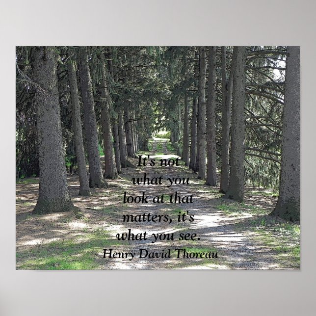 What you see -- Art print - Henry David Thoreau (Front)