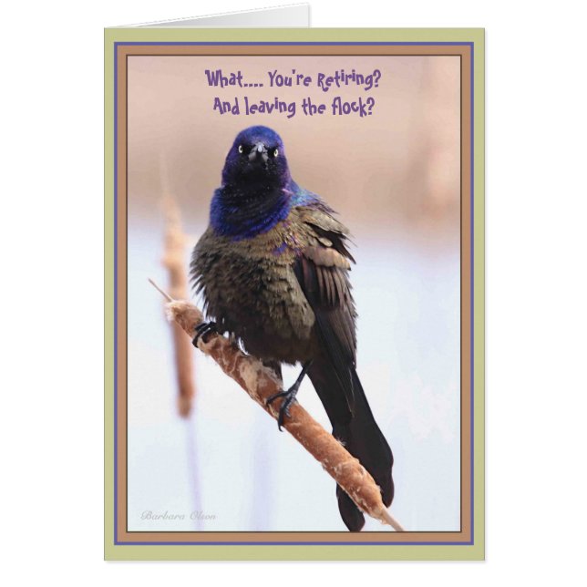 What? You're retiring & leaving the flock? (Front)