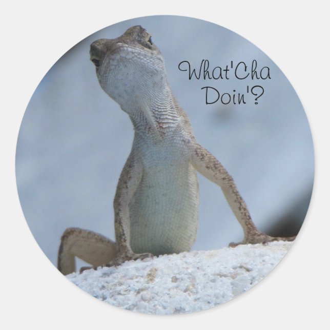 What'Cha Doin? Brown Anole Lizard Sticker (Front)