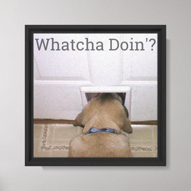 Whatcha Doin'? Canvas Print (Front)