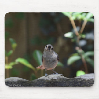 Whatcha Doin Mouse Mat