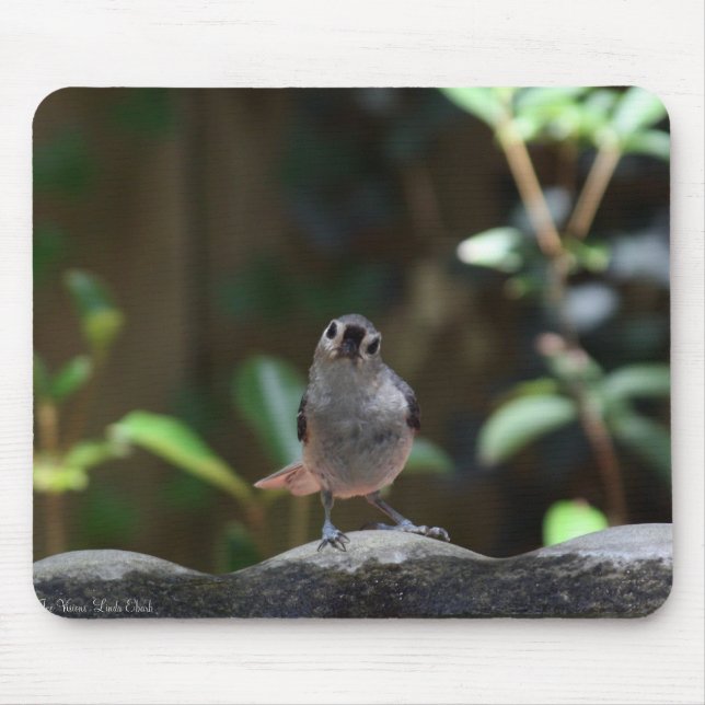 Whatcha Doin Mouse Mat (Front)