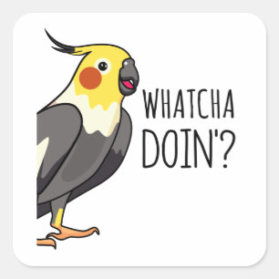 Whatcha Doin Parrot is Watching You Square Sticker