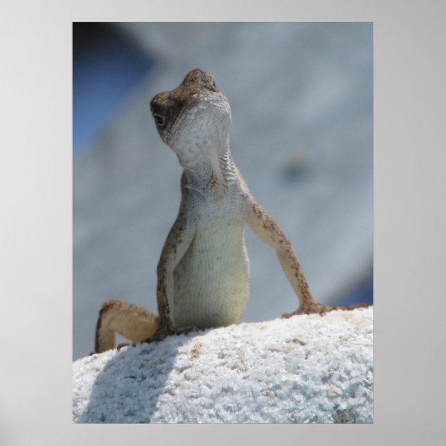 What'cha doin? poster (Front)