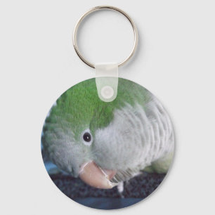 Whatcha Doin'? Quaker Parakeet Key Ring