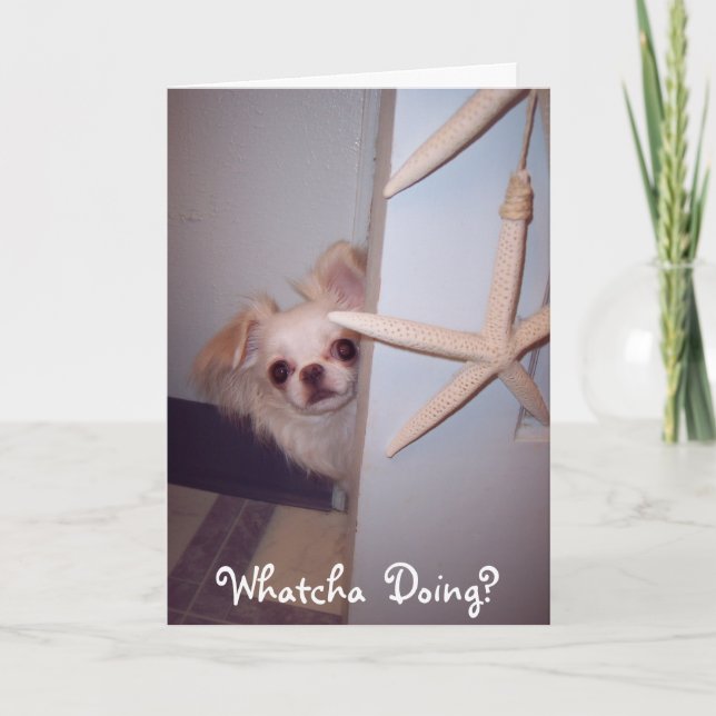 Whatcha Doing Hello Puppy? Card (Front)